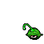 Gazer